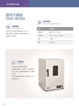 电热鼓风干燥箱DHG-9030A