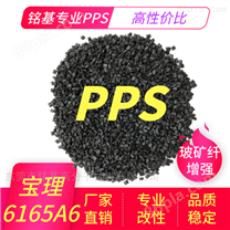 耐磨 耐老化PPS/日本宝理/6165A6高强度